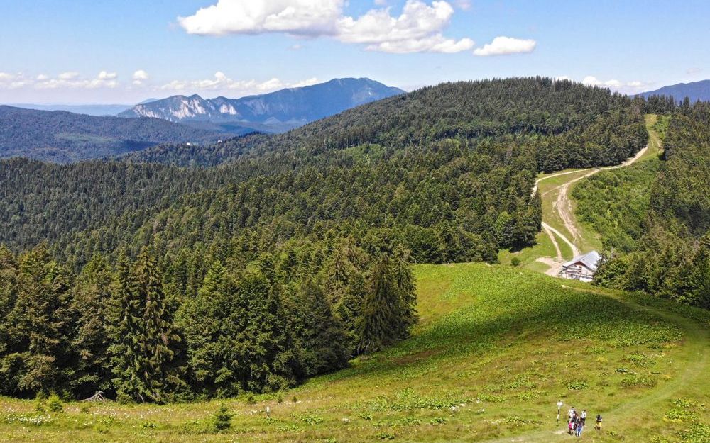 Cazare Predeal | Pensiunea Hilltop Predeal | Oferta cazare Predeal | Pensiune Predeal | Cazare pensiune Predeal | Cazare la munte Predeal | Cazare Pensiunea Hilltop Predeal | Vila Predeal | Cazare cila Predeal | Predeal